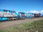 RUMO 9831